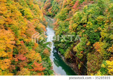 秋葉Koankyo秋田秋田 35285935