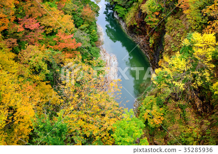 Koankyo of autumn leaves Akita 35285936