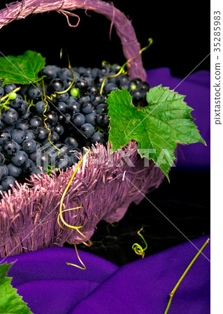 Red wine grapes in voiolet basket on bllack Red wine grapes in voiolet basket on bllack 35285983