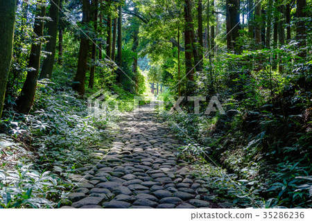 老東海道Kanayazaka石頭路面 老東海道Kanayazaka石頭路面 35286236