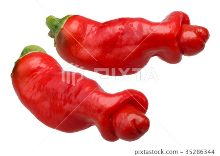 Peter Penis Pepper C. annuum, paths 35286344