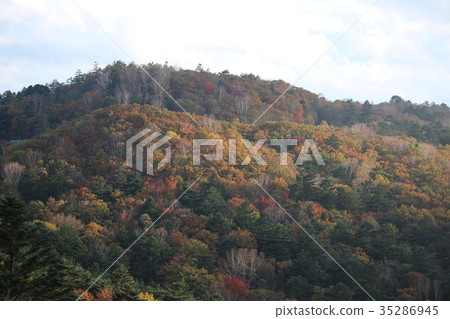 Autumn leaves of Yokone plateau Autumn leaves of Yokone plateau 35286945