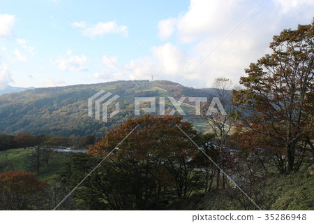 Yokone高原秋葉 Yokone高原秋葉 35286948