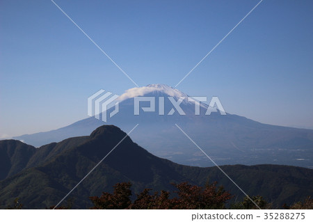奄美富士 35288275