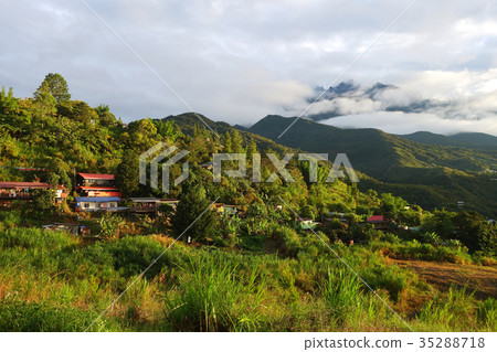 Mount Kinabalu during sunrise 35288718