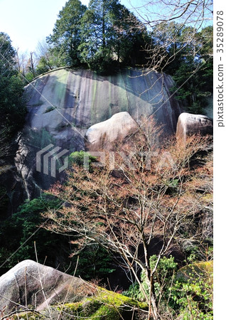 Oniiwa Park 35289078