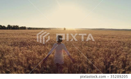 Aerial photography Girl running cross the wheat Aerial photography Girl running cross the wheat 35289205
