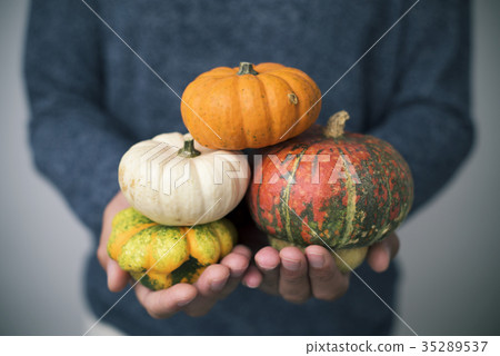 man with pumpkins in his hands 35289537