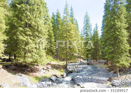 Nanshan Ranch Urumqi, Xinjiang Uygur Autonomous Region, China Nanshan Ranch Urumqi, Xinjiang Uygur Autonomous Region, China 35289917