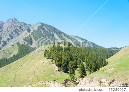 新疆維吾爾自治區烏魯木齊南山牧場 35289937