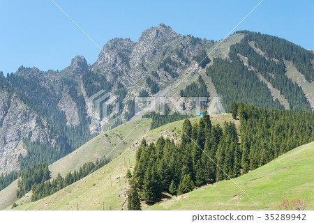 新疆維吾爾自治區烏魯木齊南山牧場 35289942