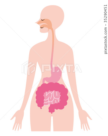 食道胃腸 35290451