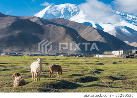Musttagata mountain (7546m) seen from Lake Karakri Kuzlus, Kyrgyzstan, Xinjiang Uygur Autonomous Region, China 35290525