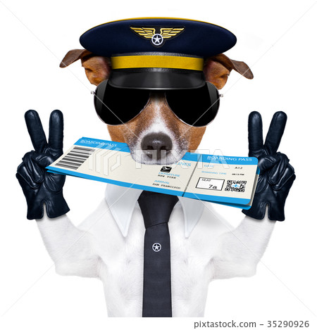 airline pilot flight attendant check in  ticket 35290926