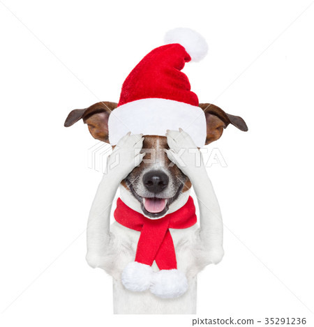 christmas santa dogs christmas santa dogs 35291236
