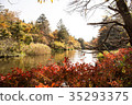 Autumn in Japan 35293375
