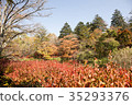 Autumn in Japan 35293376