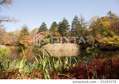 Autumn in Japan 35293378
