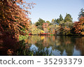 Autumn in Japan 35293379