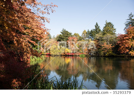 Autumn in Japan 35293379