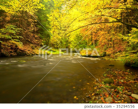 Autumn mountain river, green mossy stones Autumn mountain river, green mossy stones 35294556