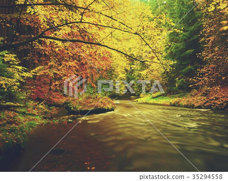 Autumn river, mossy stones on river bank Autumn river, mossy stones on river bank 35294558