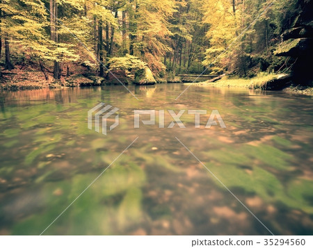 Stony river covered by leaves. Fresh colorful Stony river covered by leaves. Fresh colorful 35294560