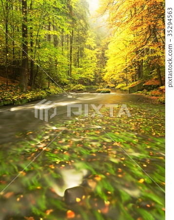 Autumn colorful forest above mountain river. Autumn colorful forest above mountain river. 35294563