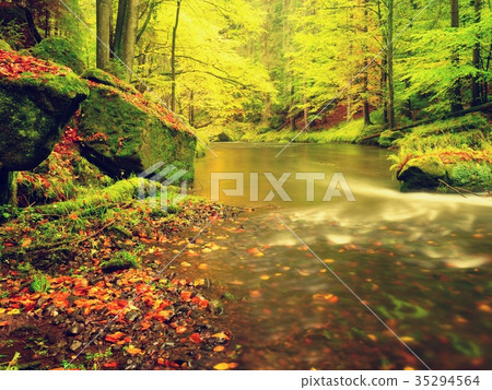 Autumn colorful forest above mountain river Autumn colorful forest above mountain river 35294564