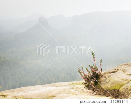 Fairy daybreak in silent landscape.The thick fog 35295144