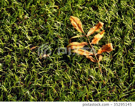 Football playfield. Outdoor soccer playground Football playfield. Outdoor soccer playground 35295145