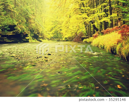Autumn landscape, colorful leaves on trees Autumn landscape, colorful leaves on trees 35295146