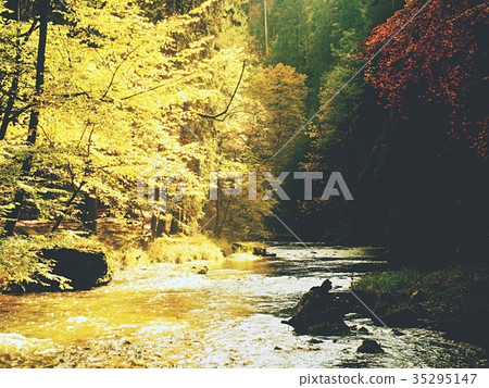 Stony river covered by orange leaves. Stony river covered by orange leaves. 35295147