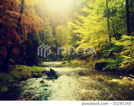 Autumn mountain river. Water under leaves trees Autumn mountain river. Water under leaves trees 35295148