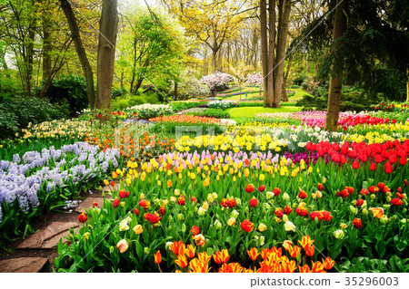 Formal spring garden 35296003
