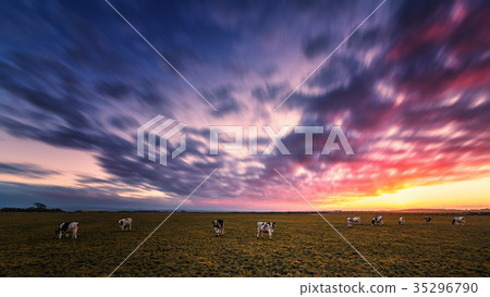 Sunset at the Farm 35296790