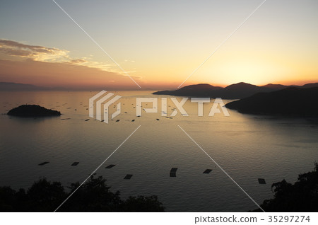 Evening sea bream 35297274