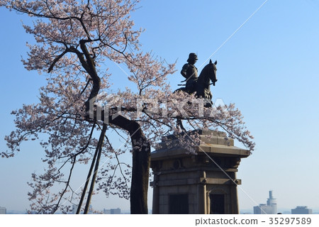 Sakura and Date Masamune equestrian statue of Aoba Castle Sakura and Date Masamune equestrian statue of Aoba Castle 35297589