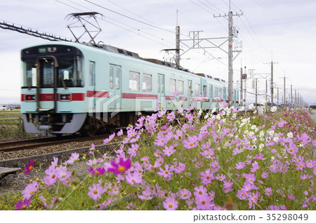 Cosmos and Nishitetsu 7050 one man train Cosmos and Nishitetsu 7050 one man train 35298049