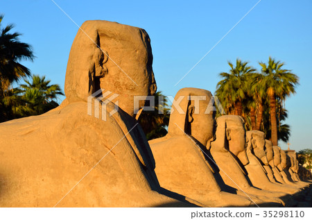 The sphinx entrance of the Luxor Temple 35298110