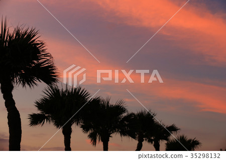 Magic hour at Ohama Park 35298132