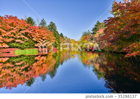 Autumn leaves reflected in the lake surface Autumn leaves reflected in the lake surface 35298137