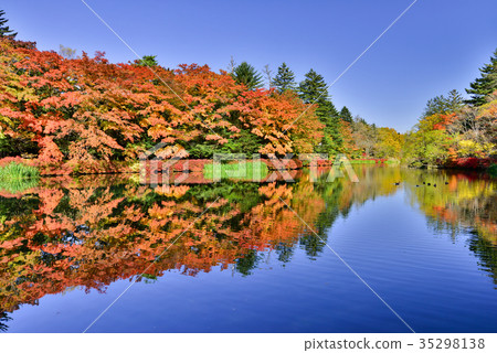 Autumn leaves reflected in the lake surface Autumn leaves reflected in the lake surface 35298138