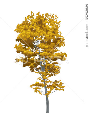 Autumn leaves 3 35298689