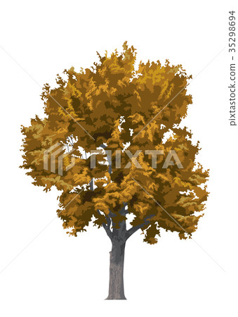 Konara autumn leaves 3 Konara autumn leaves 3 35298694