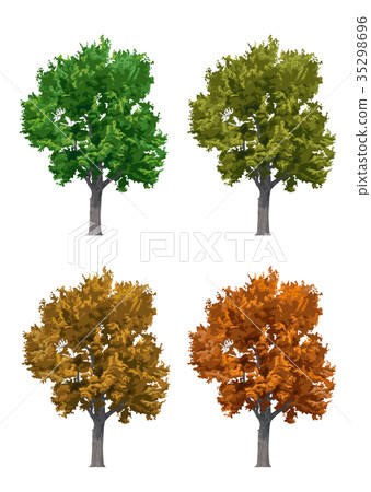 List of Konara autumn leaves 35298696