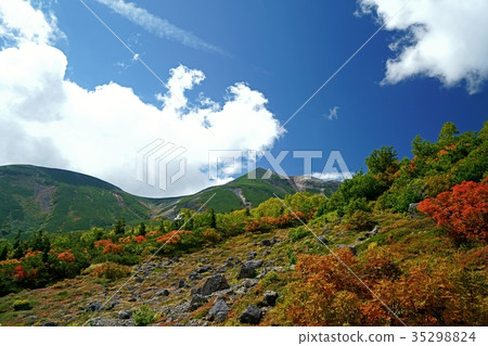 9月,秋葉的Norikura山(位置:Norikura Echo線,肩小屋→toppogara) 9月,秋葉的Norikura山(位置:Norikura Echo線,肩小屋→toppogara) 35298824
