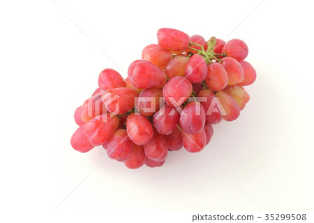 Ruber muscat 35299508
