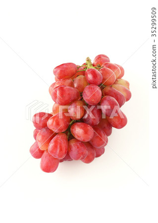 Ruber muscat 35299509