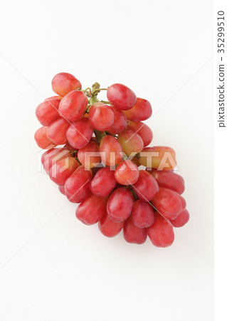 Ruber muscat 35299510